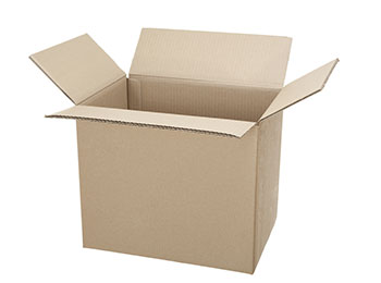 File-Carton